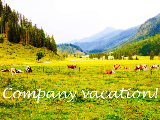 Company vacation 2020